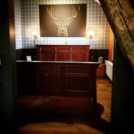 Logement Doosje Warfstermolen Экстерьер фото