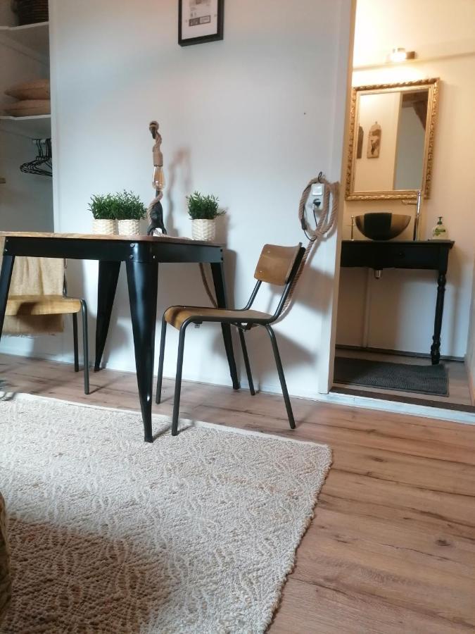 Logement Doosje Warfstermolen Экстерьер фото